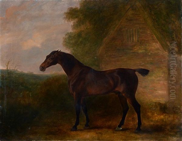 Thalaba - A Bay Hunter By A Stable - view 1