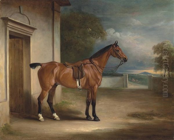 A Saddled Hunter In A Stable Yard, A Wooded Landscape Beyond - view 1