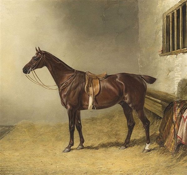 Study Of A Saddled Chestnut Hunter In A Stable, Mr. Ralph Lambton's Shuttlecock - view 1