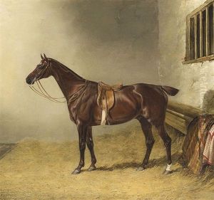 Study Of A Saddled Chestnut Hunter In A Stable, Mr. Ralph Lambton's Shuttlecock by John E. Ferneley