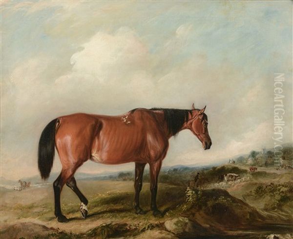 Thomas Paget's Favoured Horse Maggie: A Bay Mare In A Landscape - view 1