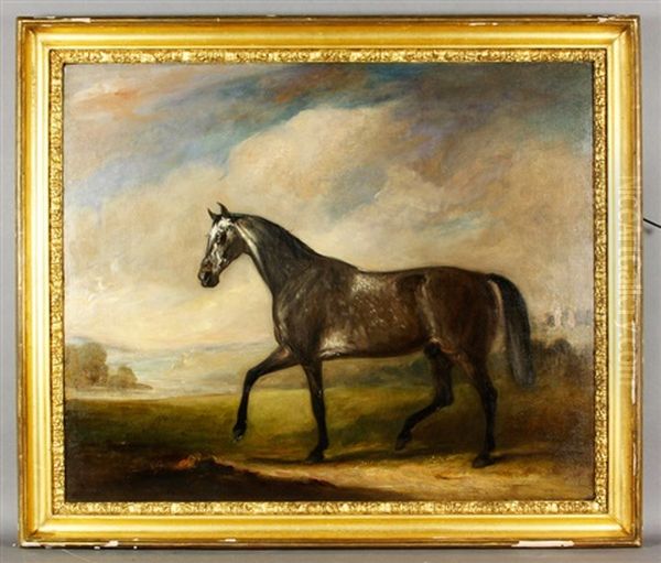 Portrait Of A Horse - view 1