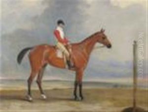 Mr I Sadler's Delight, Sister To Dangerous (winner Of The Derby 1833), Chapple Up