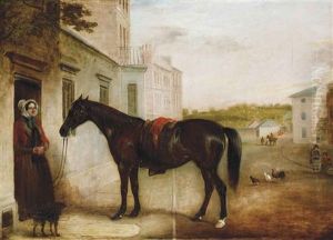 The Pony Of The Late Revd W. I. Woodcock