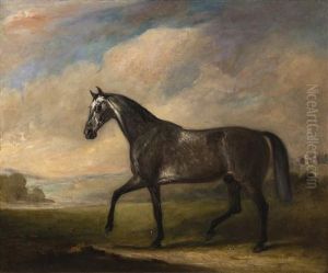 A Dappled Grey Horse In An Extensive Landscape A Dappled Grey Horse In An Extensive Landscape