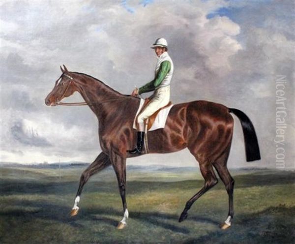 Bay Racehorse With Jockey Up - view 1