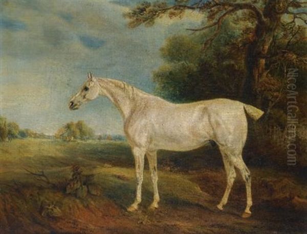 The Marquess Of Huntly's Fleabitten Grey Hunter - view 1