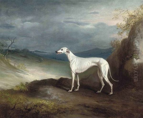 Snowstorm, A Greyhound, In An Extensive Landscape - view 1