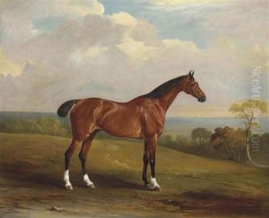Clinker, The Bay Hunter Of H.h. Holdich-hungerford Of Dingley Park, Northamptonshire