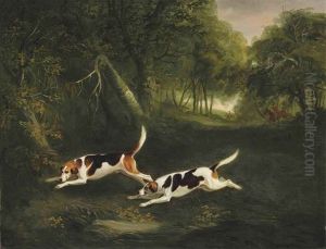 The Ormond Hounds Of The Hon. George O'callaghan