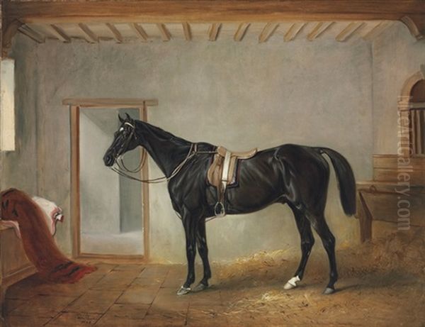 Soldier Boy In A Stable - view 1
