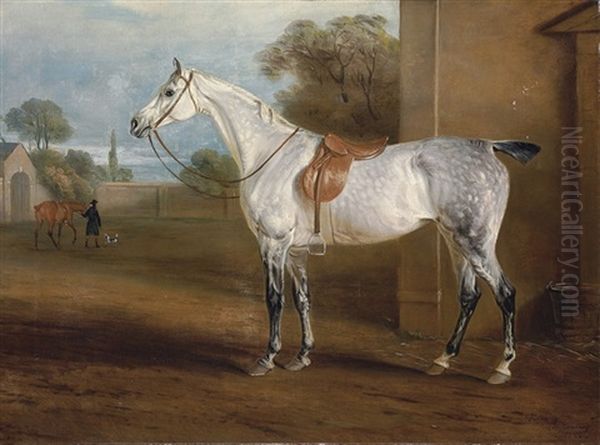 Joseph Leeds's Grey Hunter - view 1