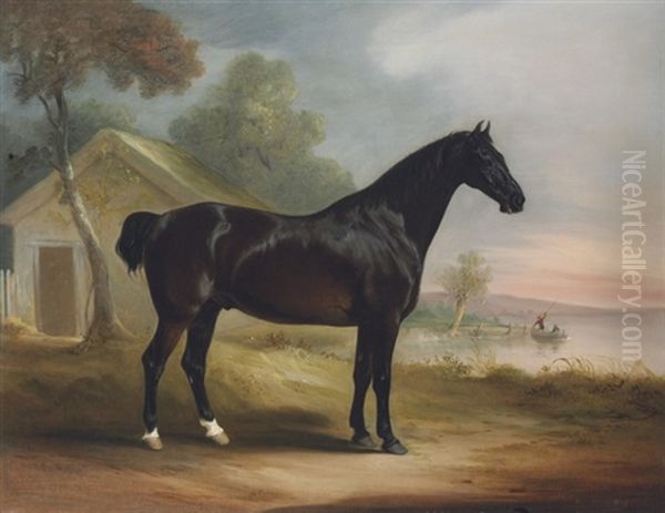 Mr Fowler's Favourite Hunter, Beside A Lake - view 1