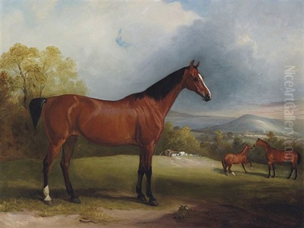 A Bay Hunter, With Other Hunters And Sheep Beyond, In A Landscape - view 1