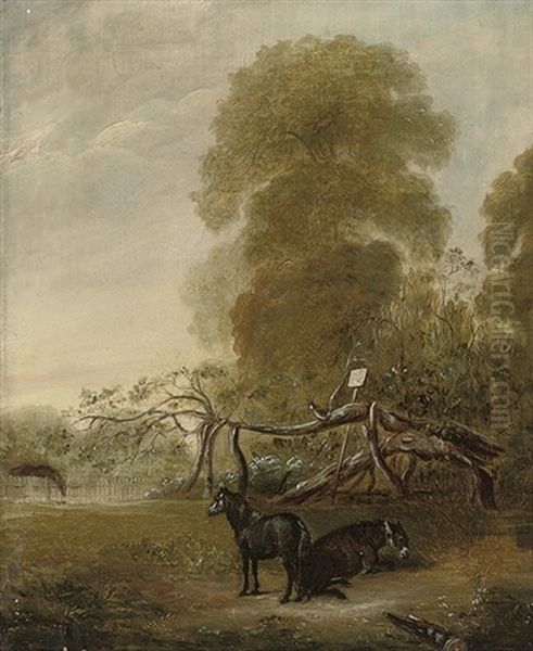 Ribston Apple Tree With Favorite Pony And Donkey - view 1