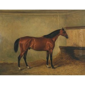 "melton Mowbray," A Bay Hunter In A Stable, The Property Of Henry George Herbert