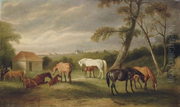 Mares And Foals In An Extensive Landscape - view 1