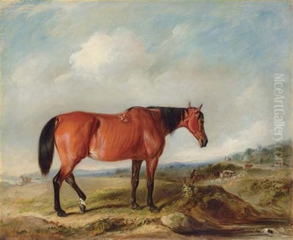 A Bay Hunter In A Landscape, Cattle And A Town Beyond - view 1
