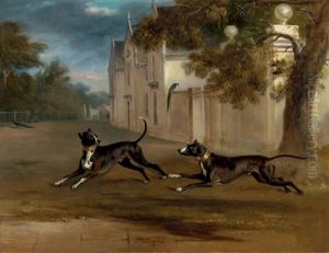 Earl Brownlow's Two Bull Terriers Nelson And Argo, Running In The Grounds Of A Country House, Belton House (?) by John E. Ferneley
