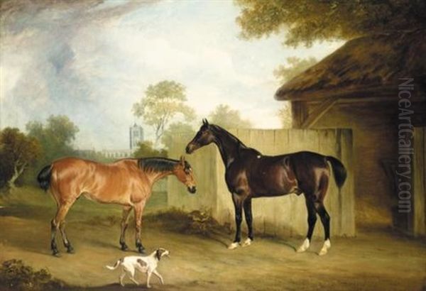 Two Hunters, "eventful" And "ranksbro", The Property Of William Massey Stanley, With A Dog - view 1