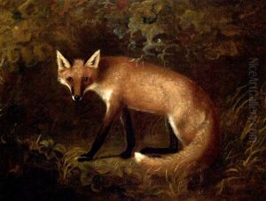 A Fox In Shrubbery