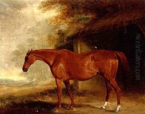 A Chestnut Mare Outside A Stable