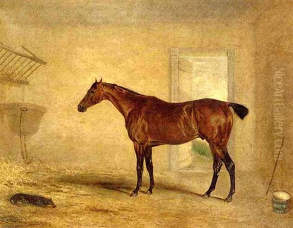 A Bay Hunter In A Stable - view 1