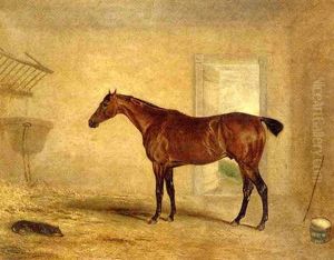A Bay Hunter In A Stable A Bay Hunter In A Stable