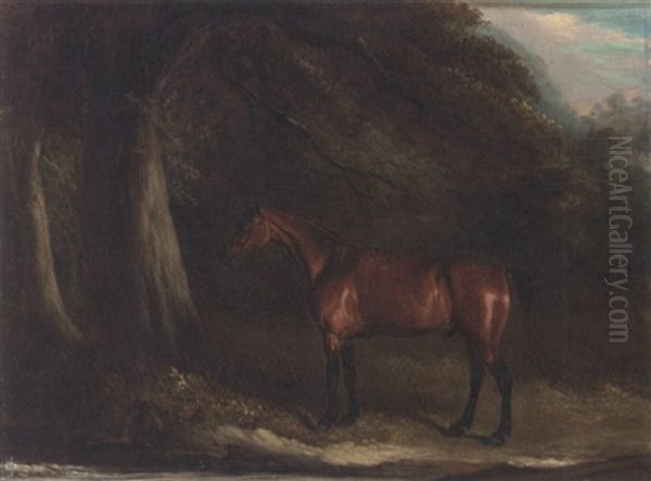 "old Dick", A Bay In A Wooded Landscape - view 1