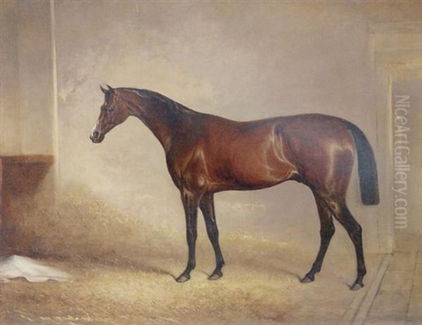 "attila", Winner Of The 1842 Derby, In A Stall - view 1