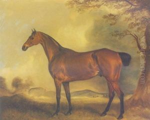 A Bay Hunter Beside A Tree In An Extensive Landscape A Bay Hunter Beside A Tree In An Extensive Landscape