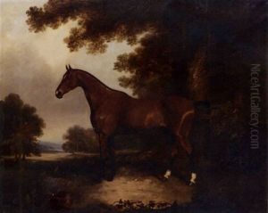 A Bay Hunter In A Wooded Landscape