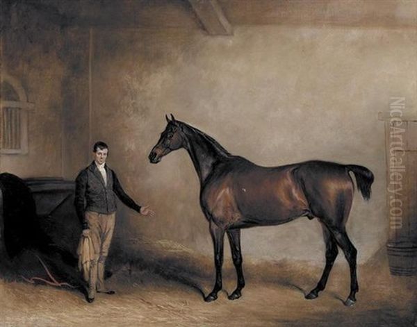 Mr. C.n. Hogg's "claxton" And A Groom In A Stable - view 1