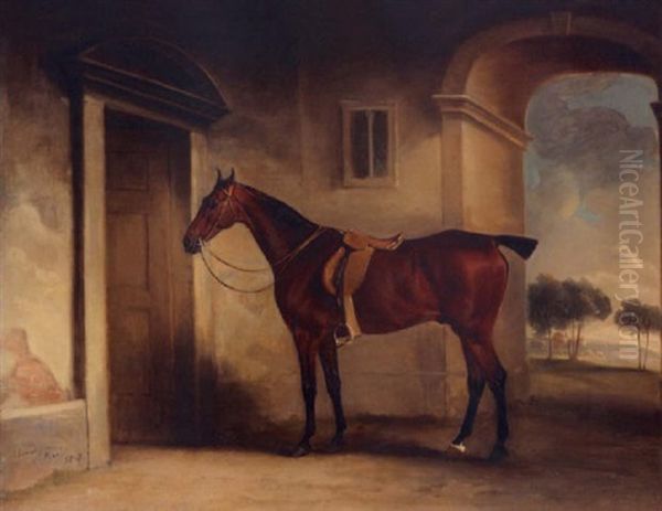 A Saddled Bay Hunter In A Stableyard - view 1