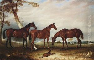 "marve", "kingfisher" And The "lad", Three Hunters Belonging To William Angerstein, In A Field With His Dog "spring" by John E. Ferneley