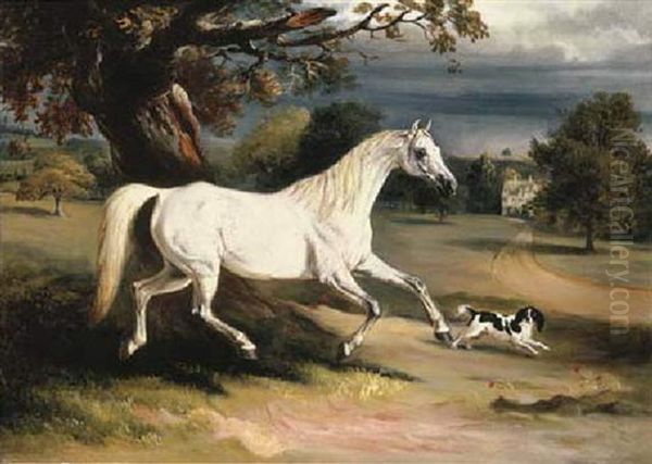 Mr. Dawson's "phoebus", A Grey Hunter With A Spaniel, In The Grounds Of Launde Abbey, Leicestershire - view 1