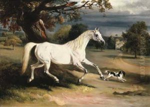 Mr. Dawson's "phoebus", A Grey Hunter With A Spaniel, In The Grounds Of Launde Abbey, Leicestershire by John E. Ferneley