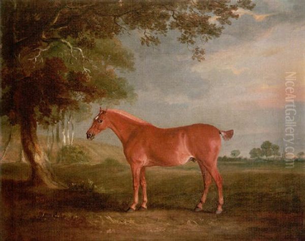 A Chestnut Cob In A Landscape, With Melton Mowbray Church Beyond - view 1