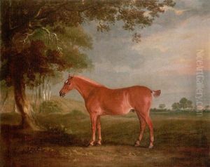 A Chestnut Cob In A Landscape, With Melton Mowbray Church Beyond by John E. Ferneley