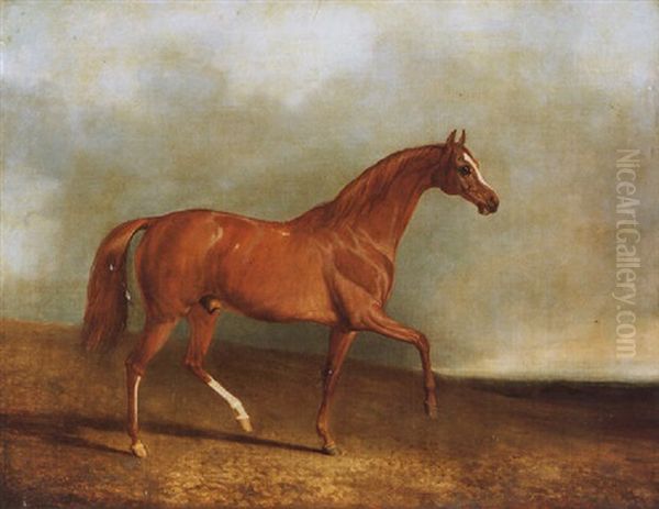"pyrrhus The First"- Winner Of The 1846 Derby - view 1