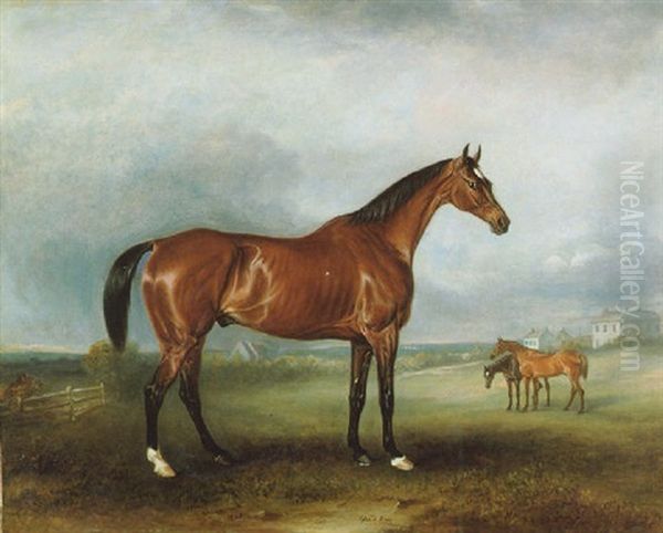 Mr. Hall Webb's "cloud King" With Prospect Of Kiddington House - view 1