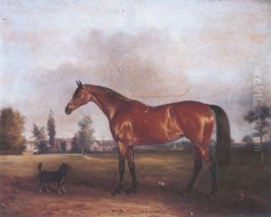 "epsom" A Favorite Hunter Belonging To Lady Eleanor Cecily Clifton Of Lytham Hall, Lancashire
