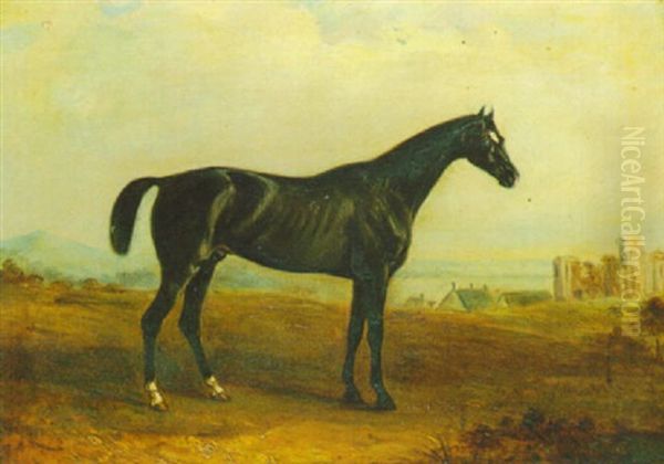 A Dark Brown Horse In A Landscape - view 1