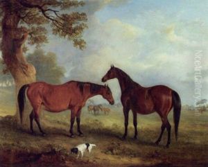 Brood Mares At Grass
