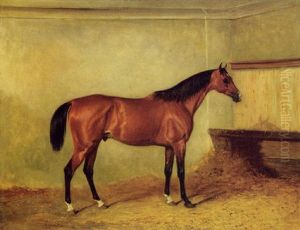 A Bay Hunter In A Stable, The Property Of Henry George Herbert, 7th Earl Of Carnarvon