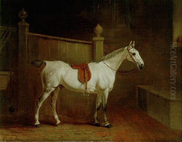 A Saddled Grey Hunter In A Stable - view 1