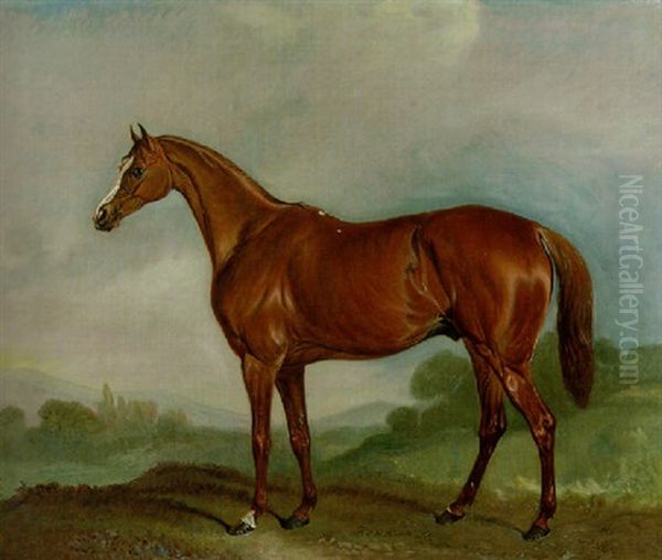 Mr. Ferguson's Chestnut Colt "harkaway" In A Landscape - view 1