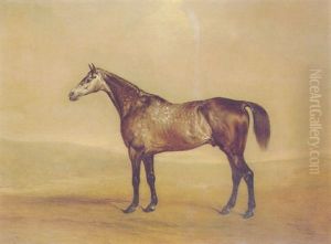 "mispa", A Grey Hunter In A Landscape