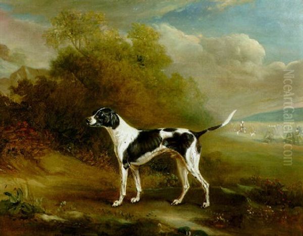 A Pointer In A Landscape - view 1