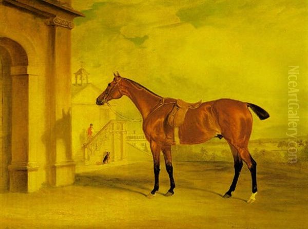 "clinker", Sir Francis Holyoake's Celebrated Steeplechaser, Standing Saddled In A Yard - view 1